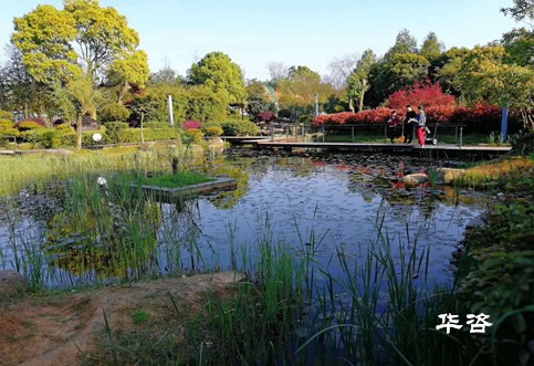 生態(tài)保護(hù)、建設(shè)用地、城鎮(zhèn)發(fā)展影響專題研究報告案例_華咨基于公路前期專項(xiàng)評估一站式服務(wù)的優(yōu)勢剖析