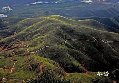 湖南永州藍(lán)山公路項(xiàng)目水土保持方案（水保）順利通過(guò)專(zhuān)家評(píng)議