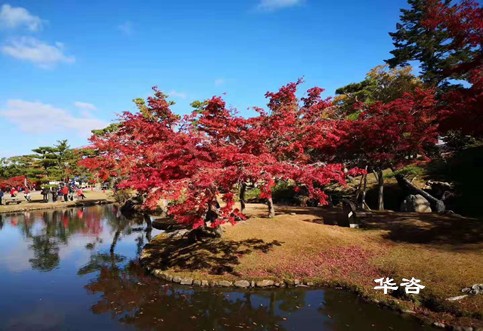 華咨水資源論證科技：創(chuàng)新論證方式，提升水資源利用效率