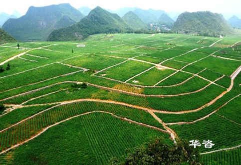 湖南省地災評估甲級資質_建設項目地質災害評估應該注意哪些事項？