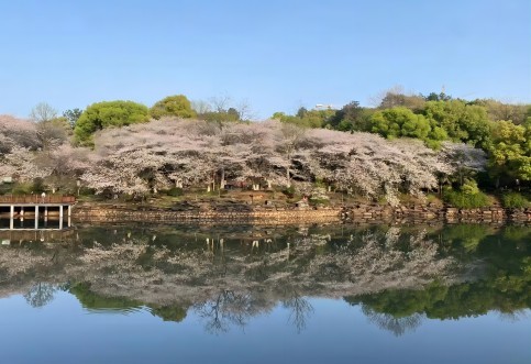 江西省專業(yè)交通技術(shù)服務(wù)公司_華咨航評(píng)和交評(píng)的核心優(yōu)勢有哪些？